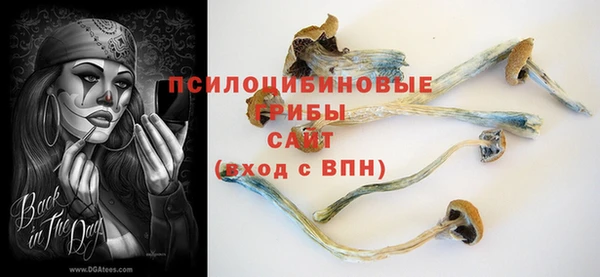 МДМА Лабытнанги