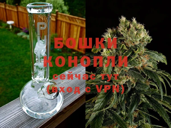 шишки Вязники