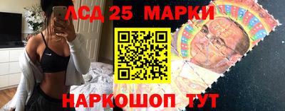 молекула духа Будённовск